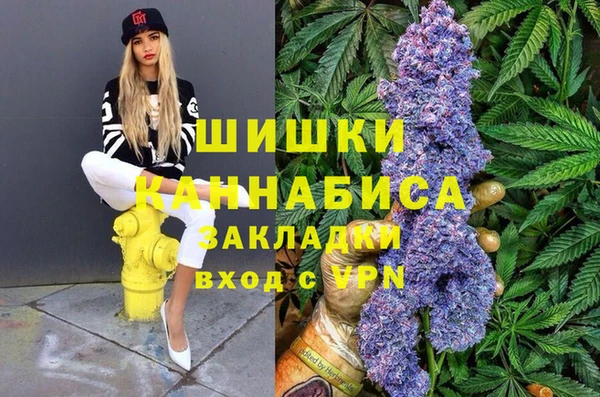 ПСИЛОЦИБИНОВЫЕ ГРИБЫ Алексин