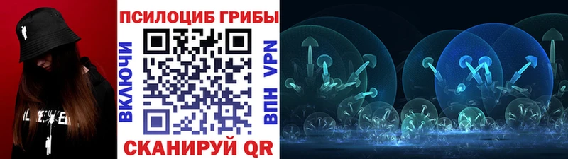 Псилоцибиновые грибы Psilocybine cubensis Полтавская