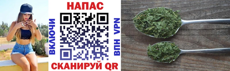 shop телеграм  Полтавская  МАРИХУАНА SATIVA & INDICA  блэк спрут ссылка 